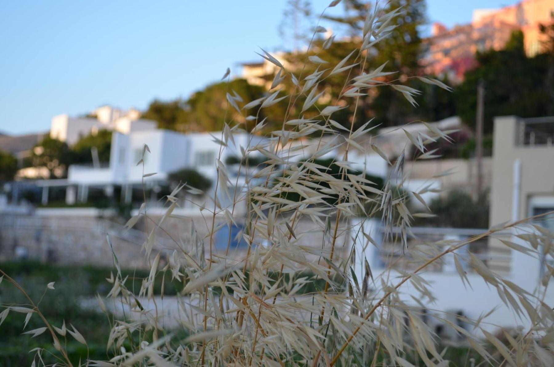 White Lotus Seaside Apartment Kini Esterno foto